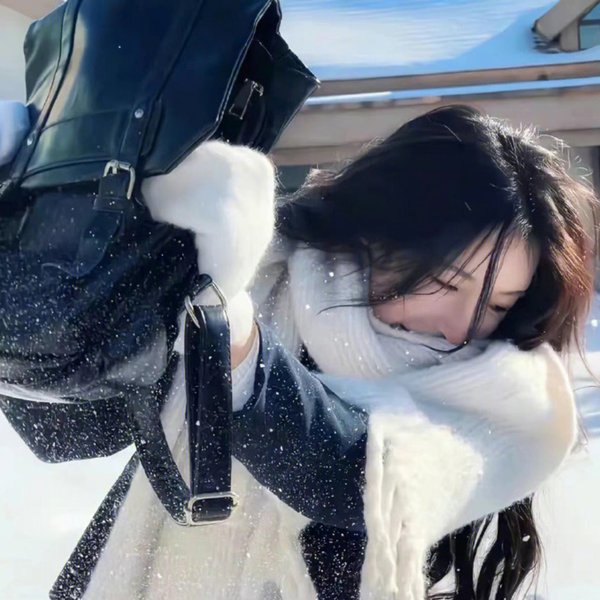 飞女正传封面