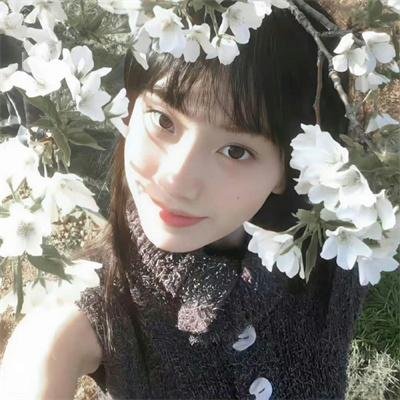 玻璃之花与坏掉的世界封面